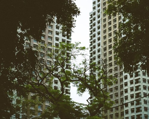 Beginner's Guide to Social Online Casino